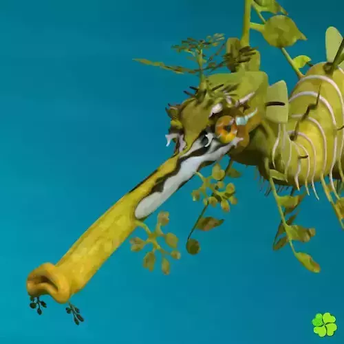 Leafy sea dragon 3D model