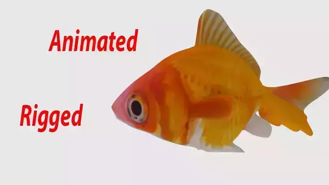 Animated And Rigged Goldfish Low-poly 3D model
