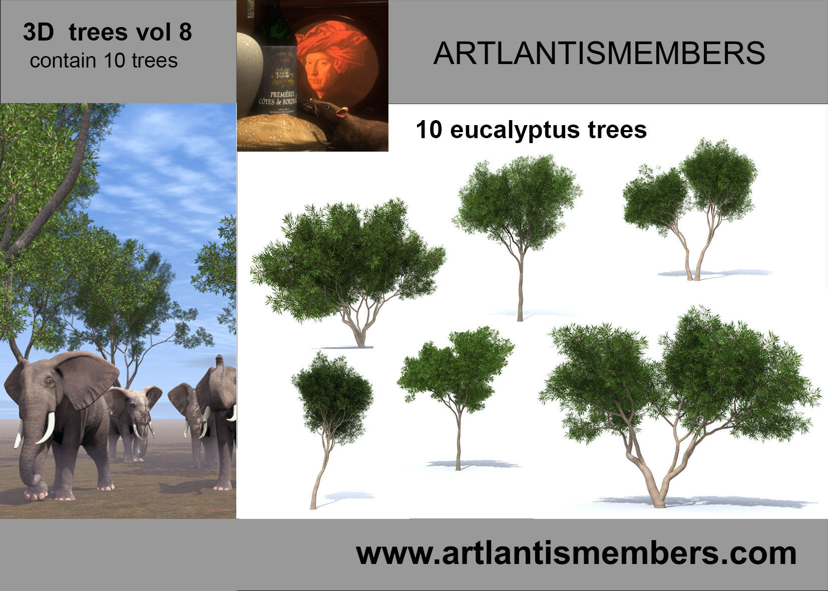 plant collection plants - artifacts 3D model_6