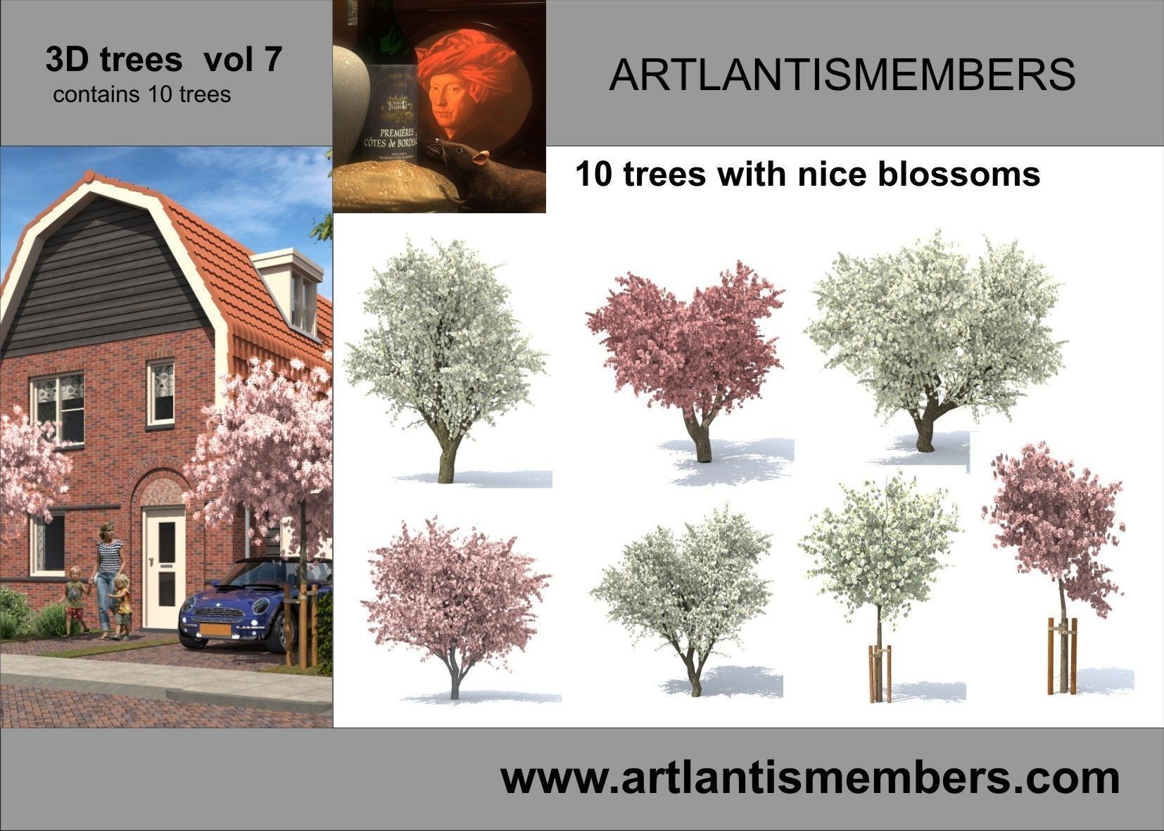 plant collection plants - artifacts 3D model_5