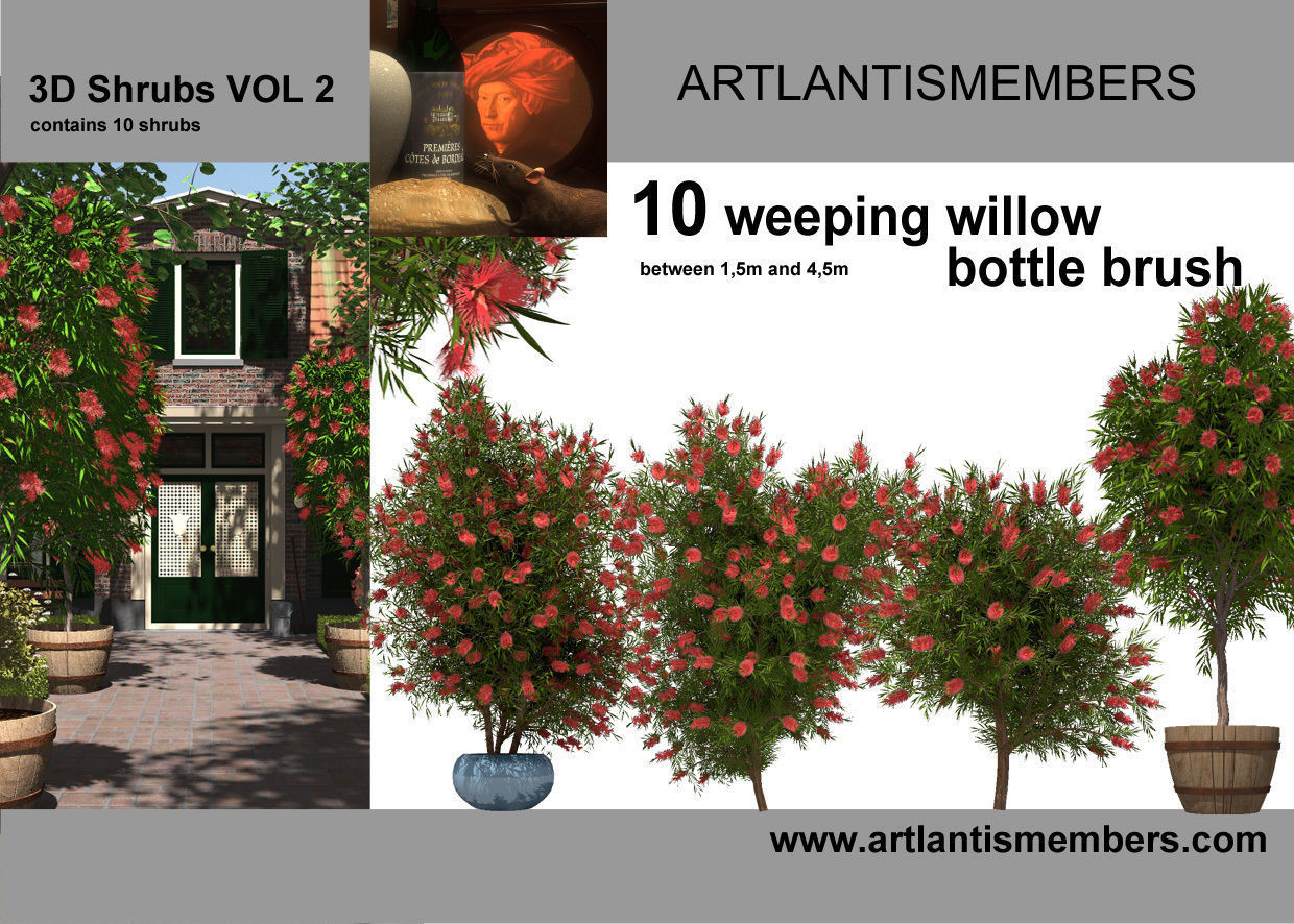 plant collection plants - artifacts 3D model_3