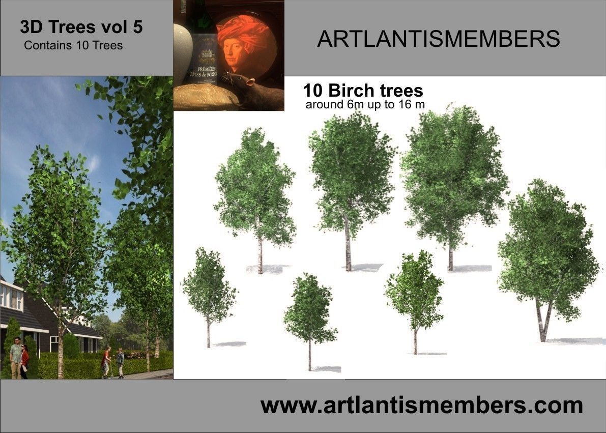 plant collection plants - artifacts 3D model_1