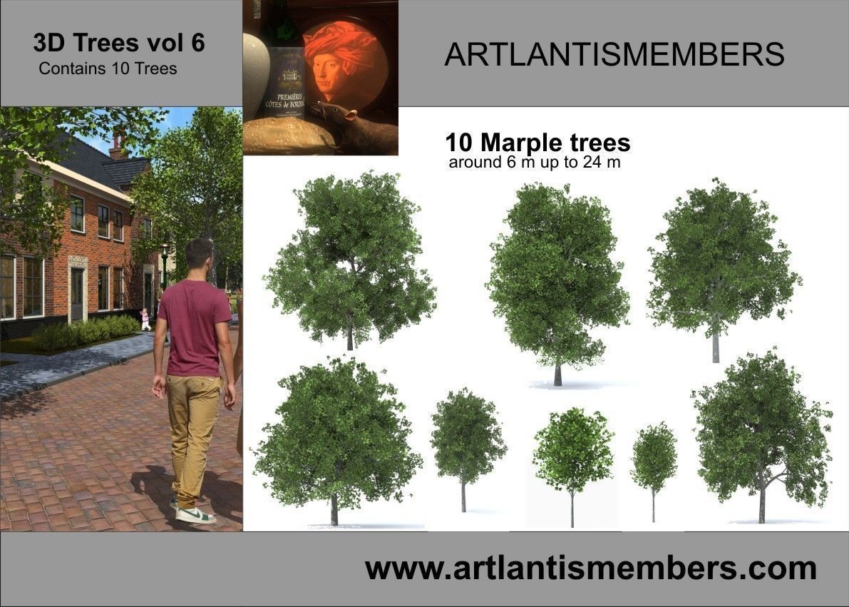 plant collection plants - artifacts 3D model_4