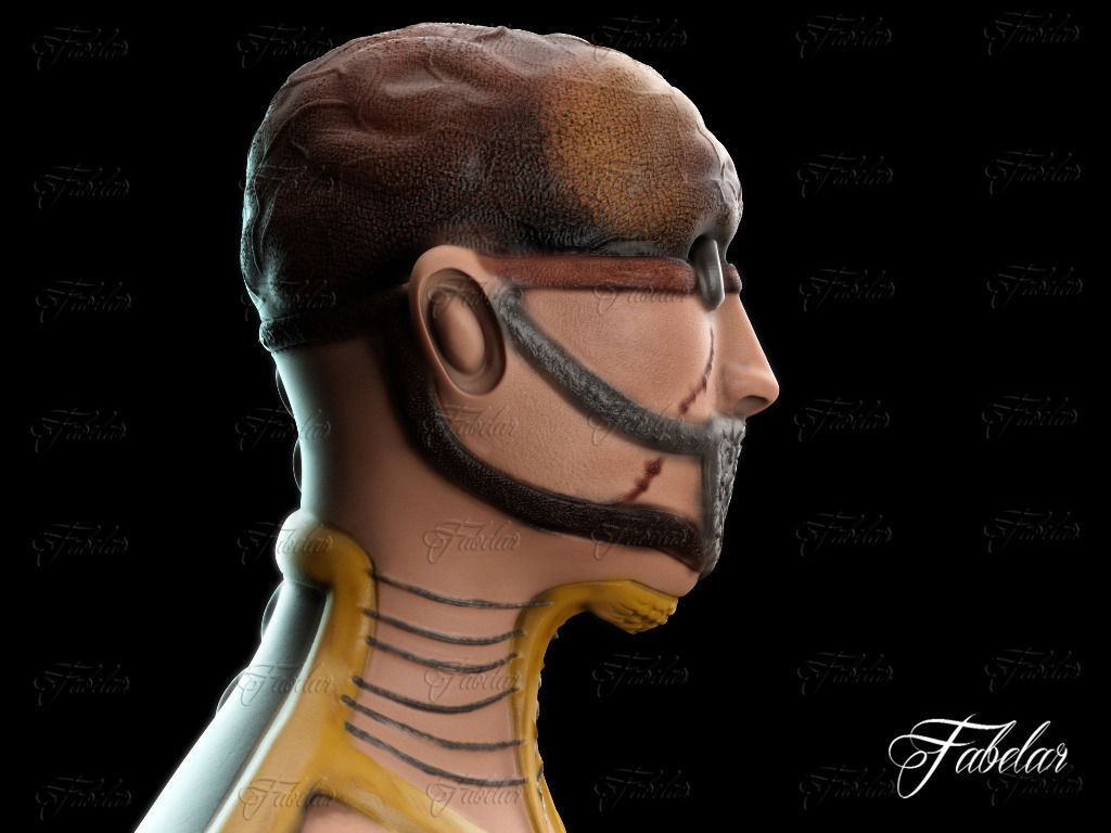 The Doctor FREE Free 3D model_3