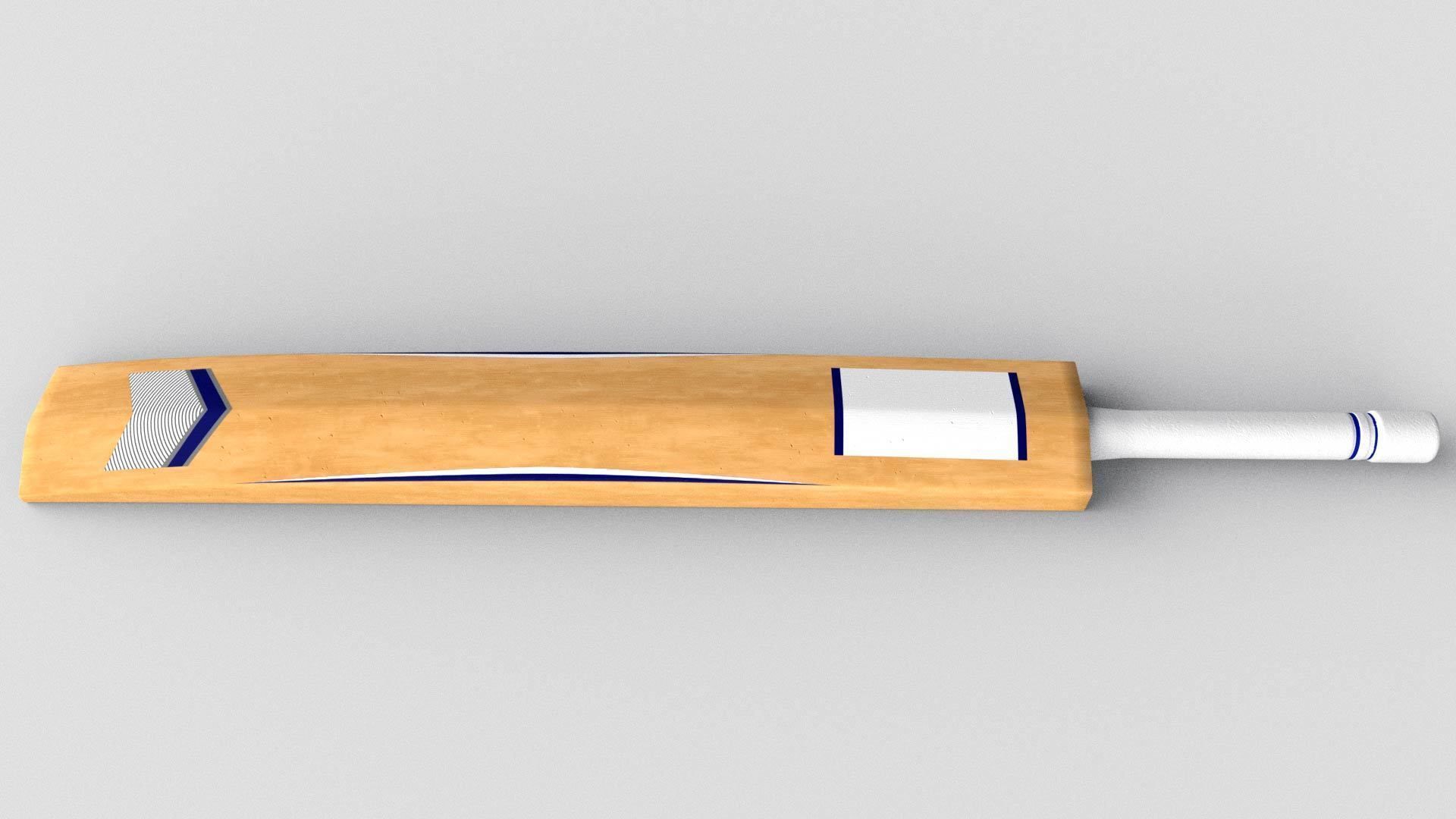 Cricket Bat 3D Model 3D model_1
