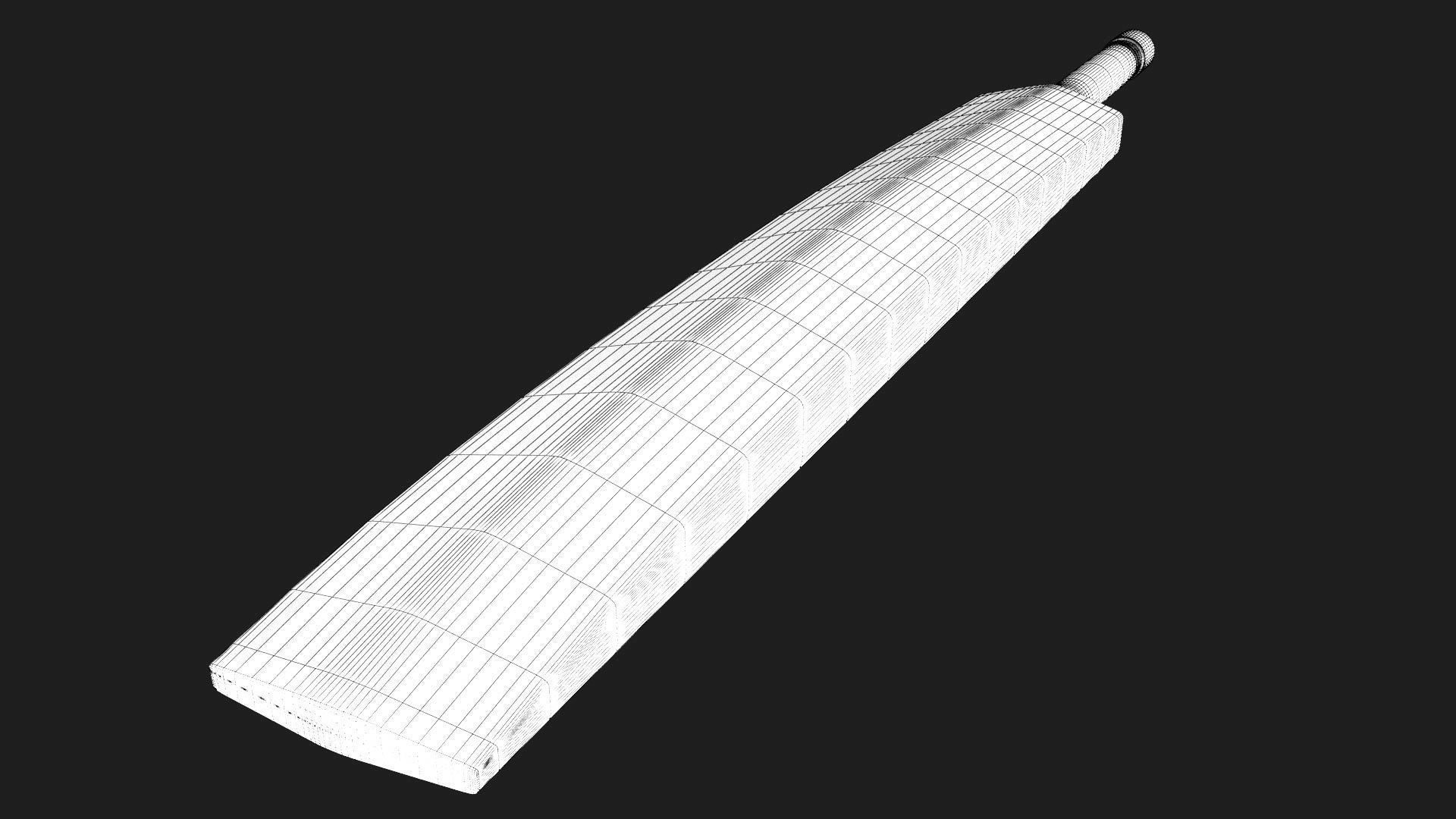 Cricket Bat 3D Model 3D model_2