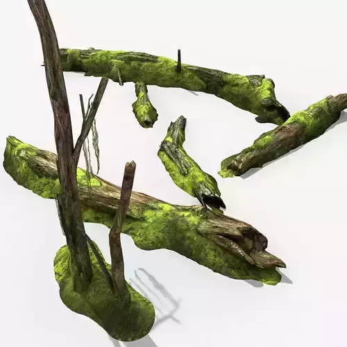 Decayed Tree Bark with Moss 3D model
