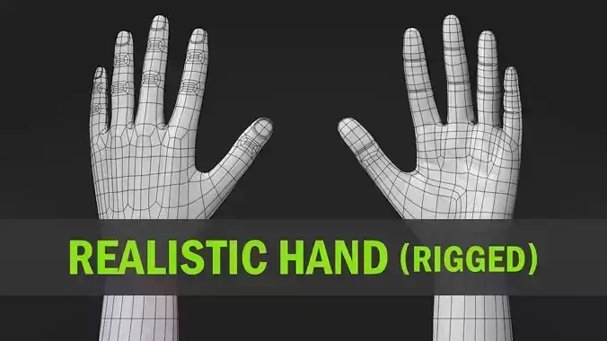 Realistic Hand rigged Low-poly 3D model