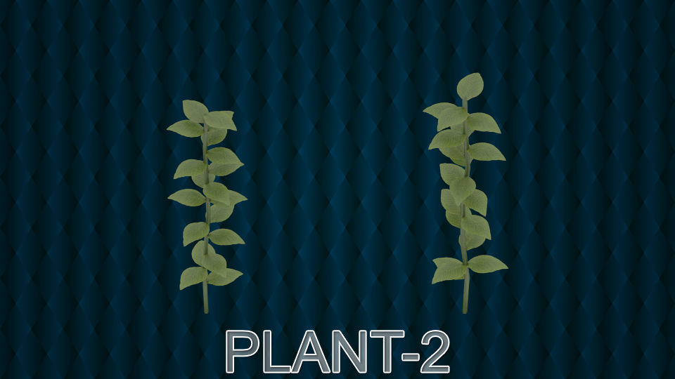 Plant Pack v1 Low-poly 3D model_4
