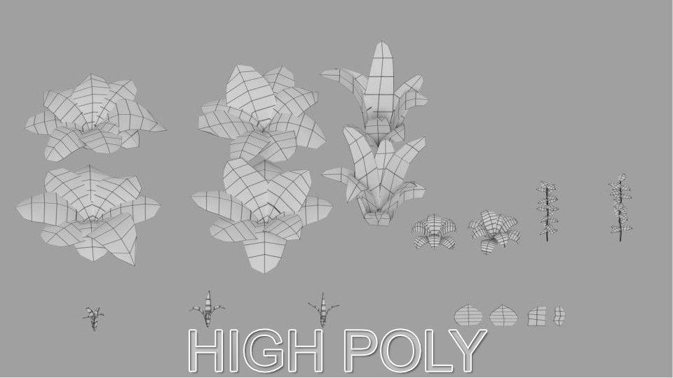 Plant Pack v1 Low-poly 3D model_8