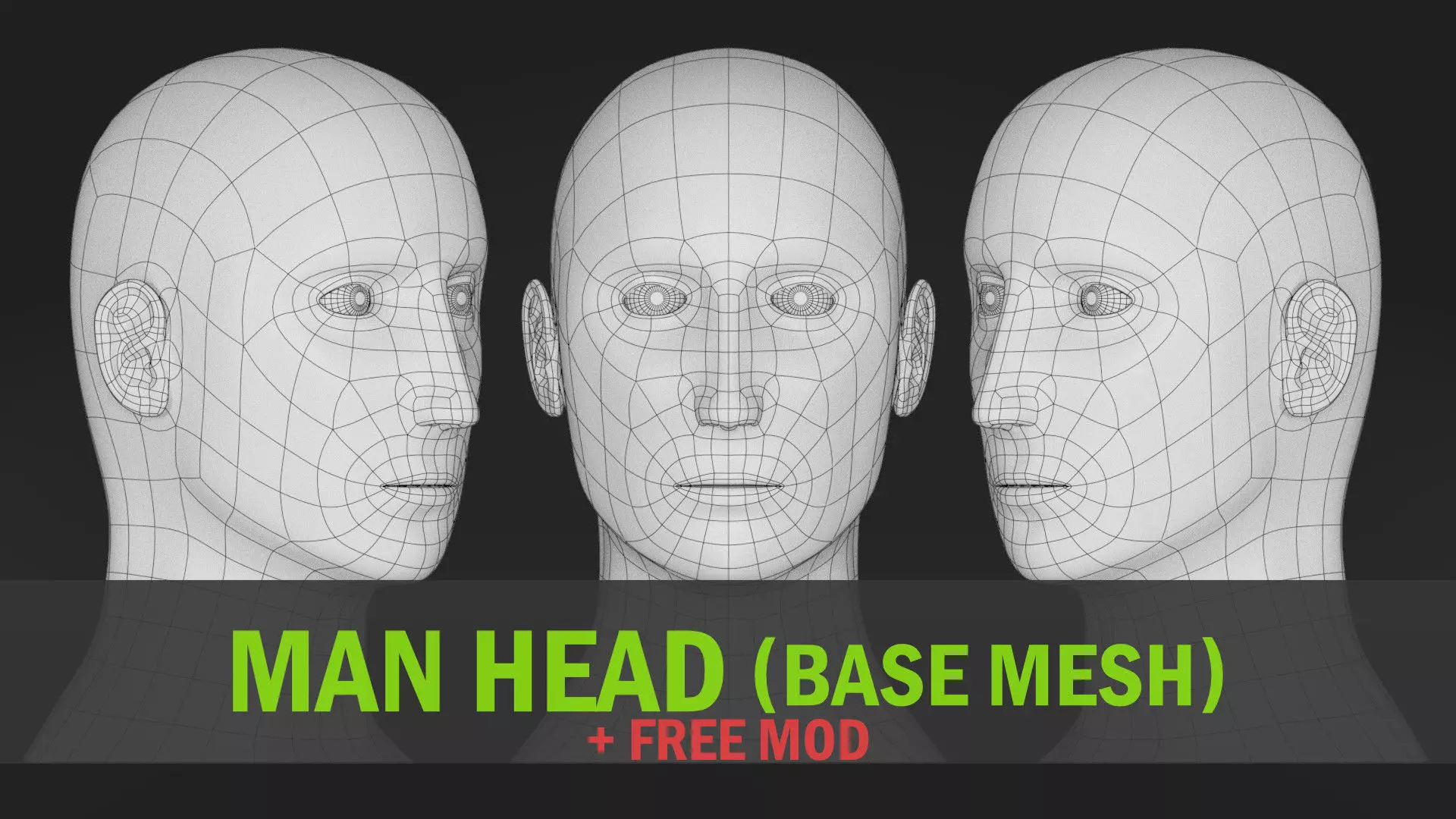 Head-Base Mesh Low-poly 3D model