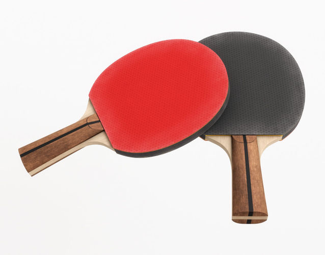 Table Tennis Paddle 3D model