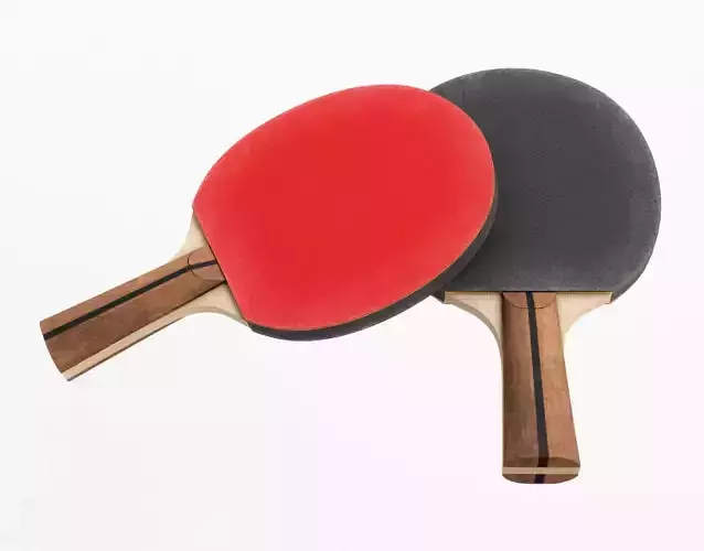 Table Tennis Paddle 3D model
