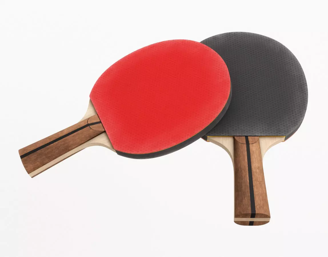 Table Tennis Paddle 3D model_0