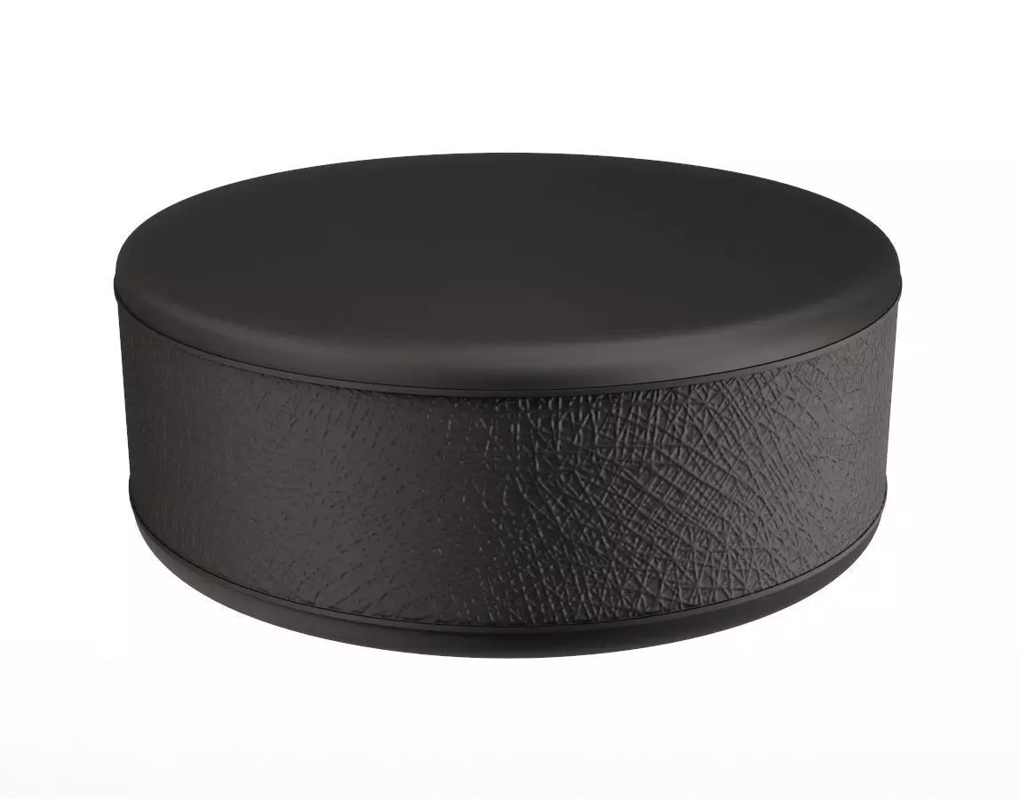 Ice Hockey Puck 3D model_0
