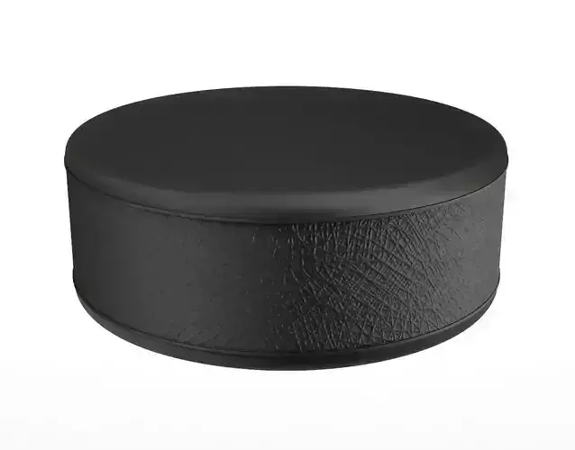 Ice Hockey Puck 3D model