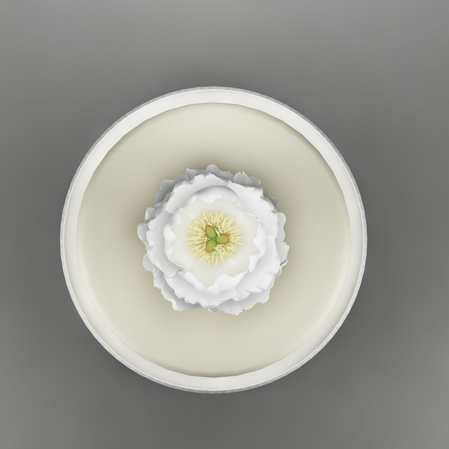 Cake 29 with  flower 3D model_4