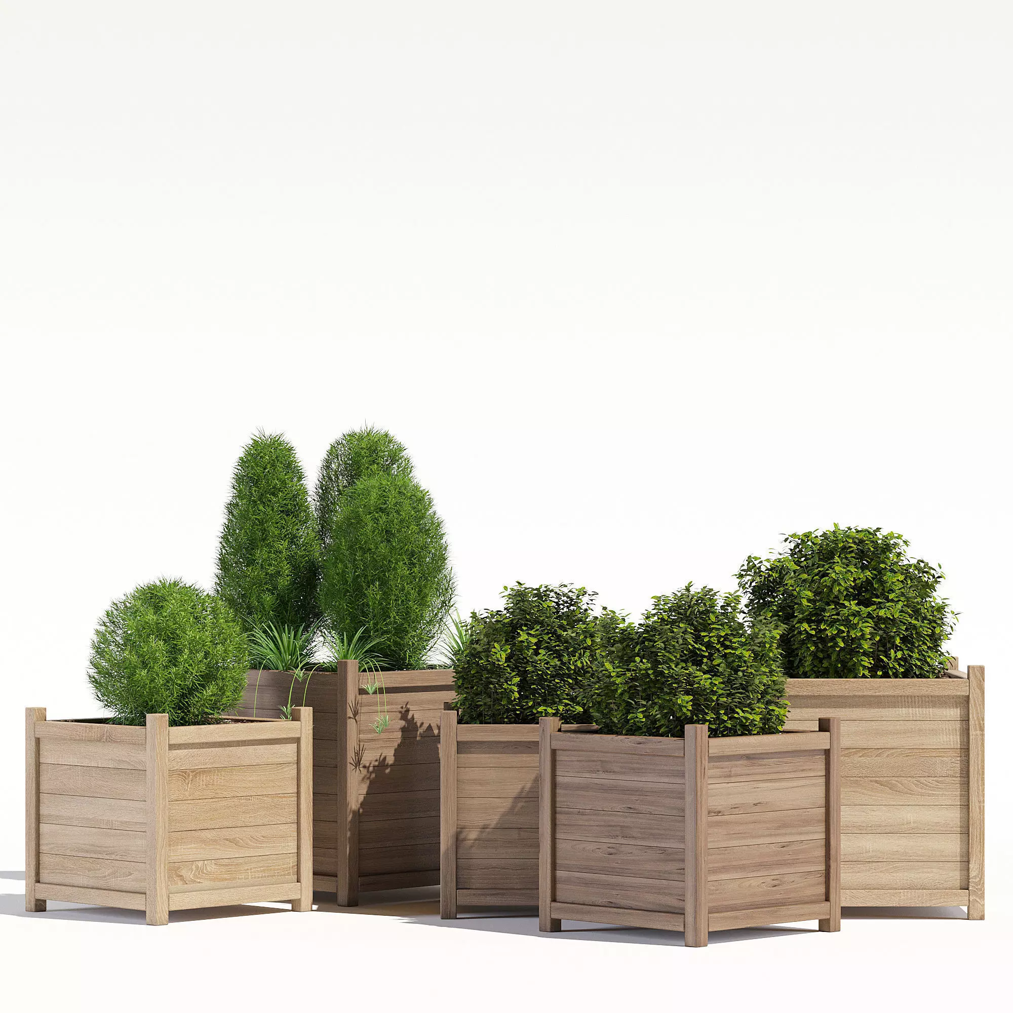  Cube liz frances 3D model_0