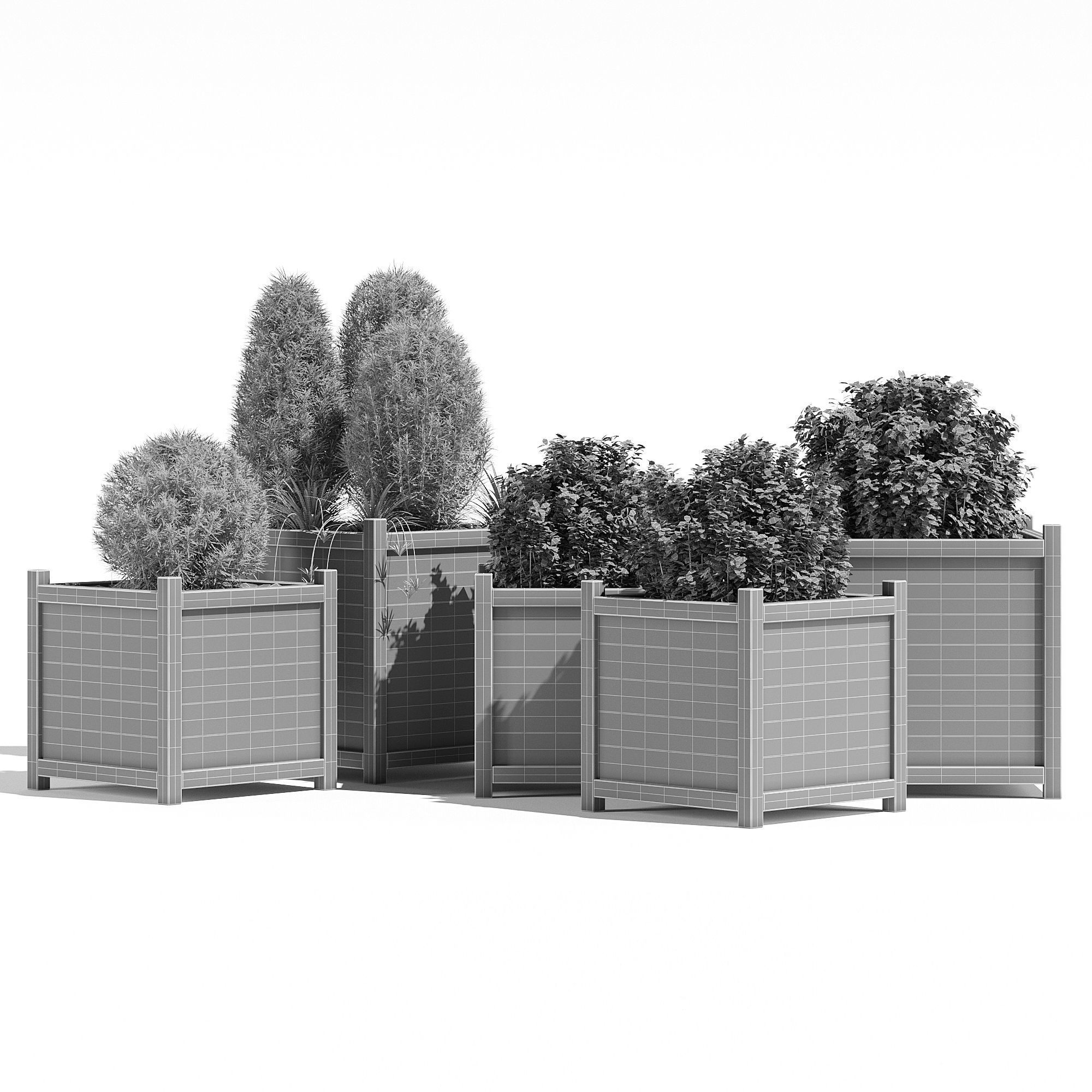  Cube liz frances 3D model_6