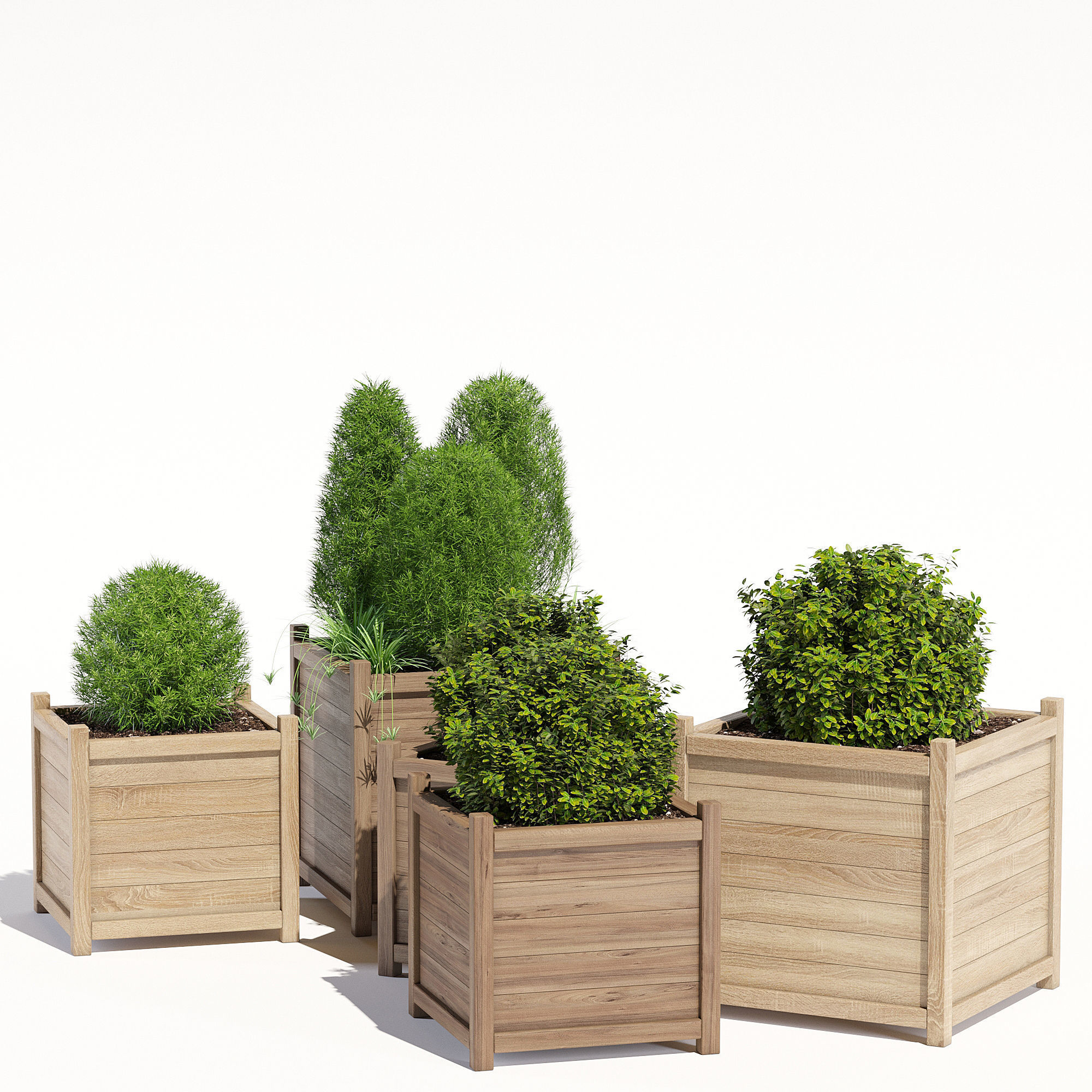  Cube liz frances 3D model_2