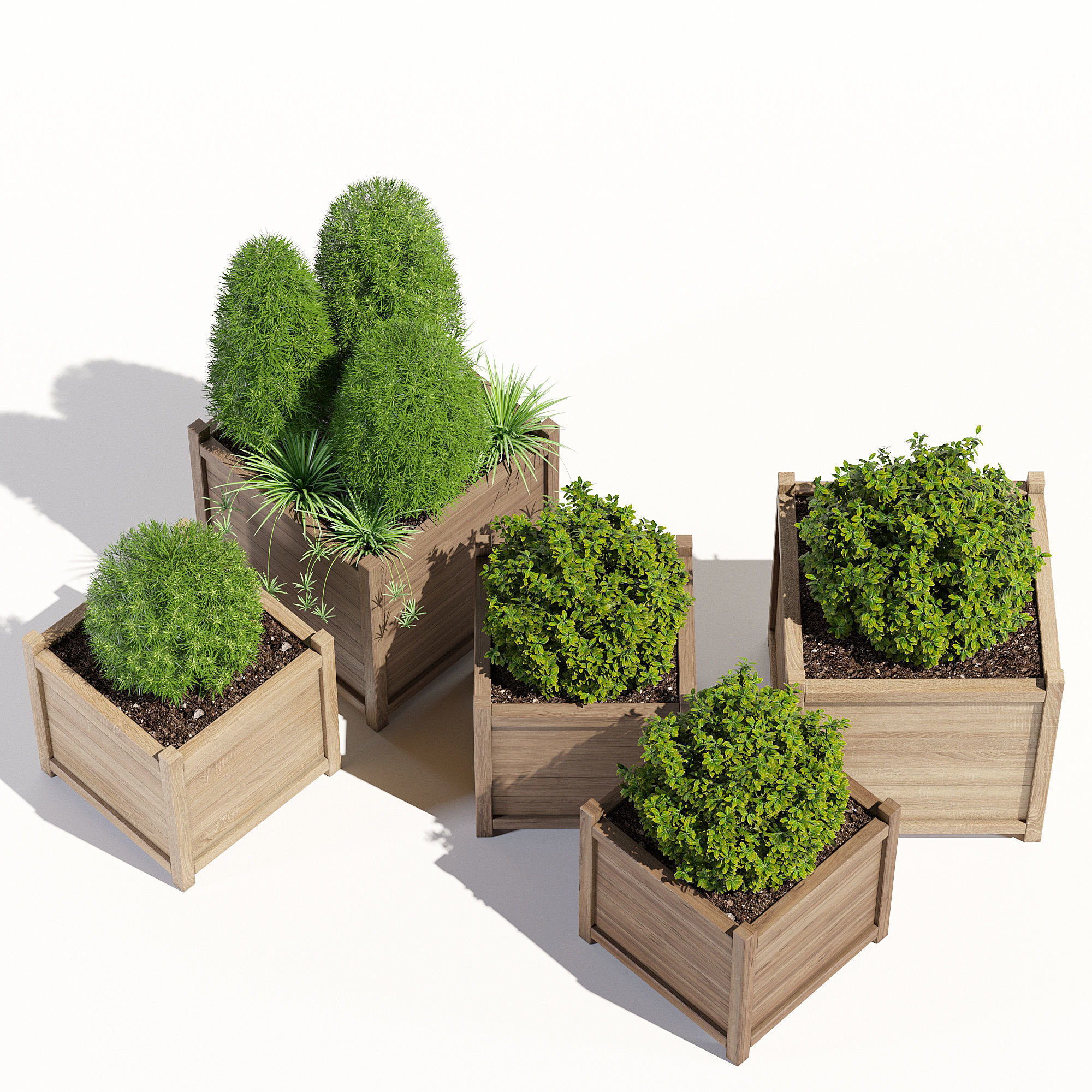  Cube liz frances 3D model_3