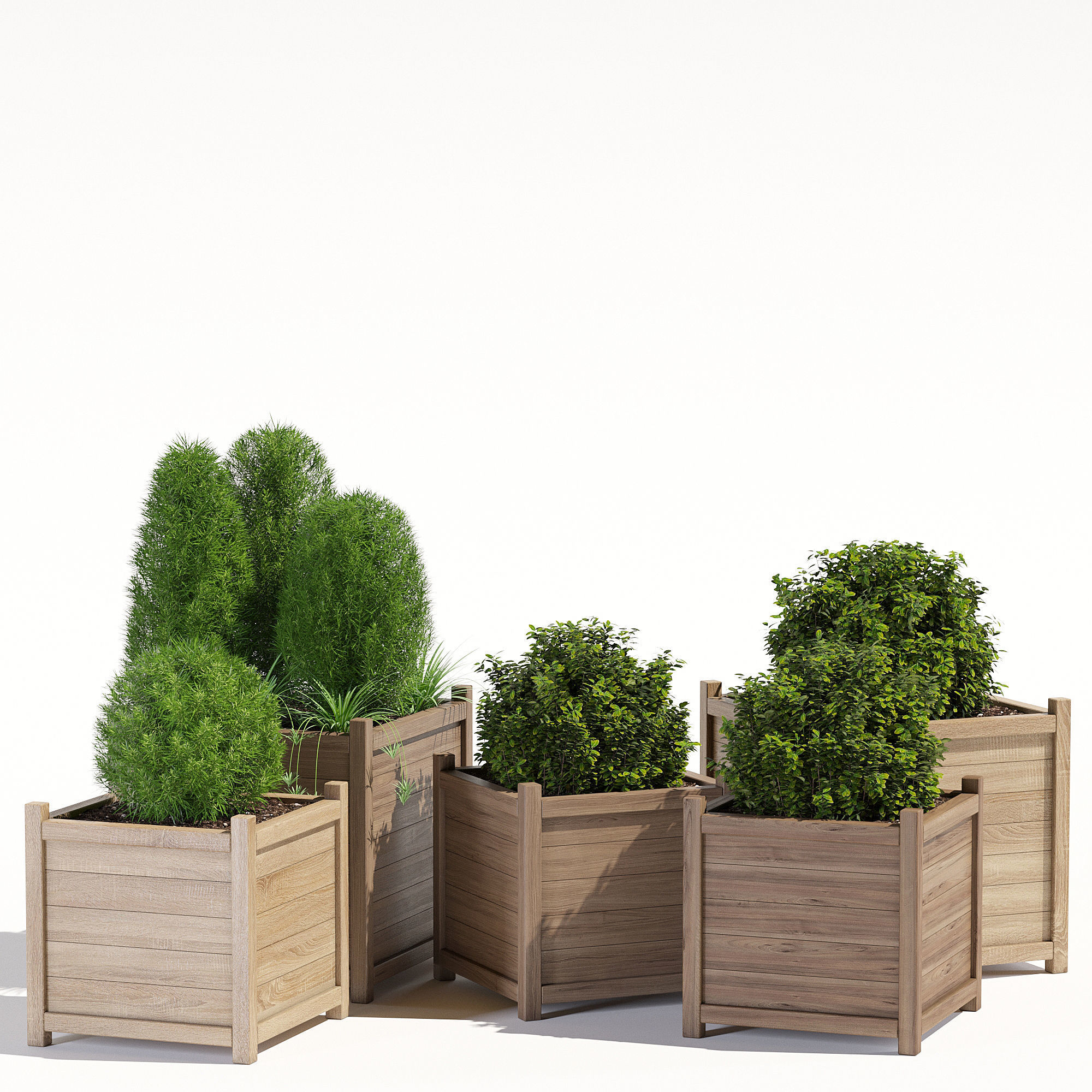  Cube liz frances 3D model_1