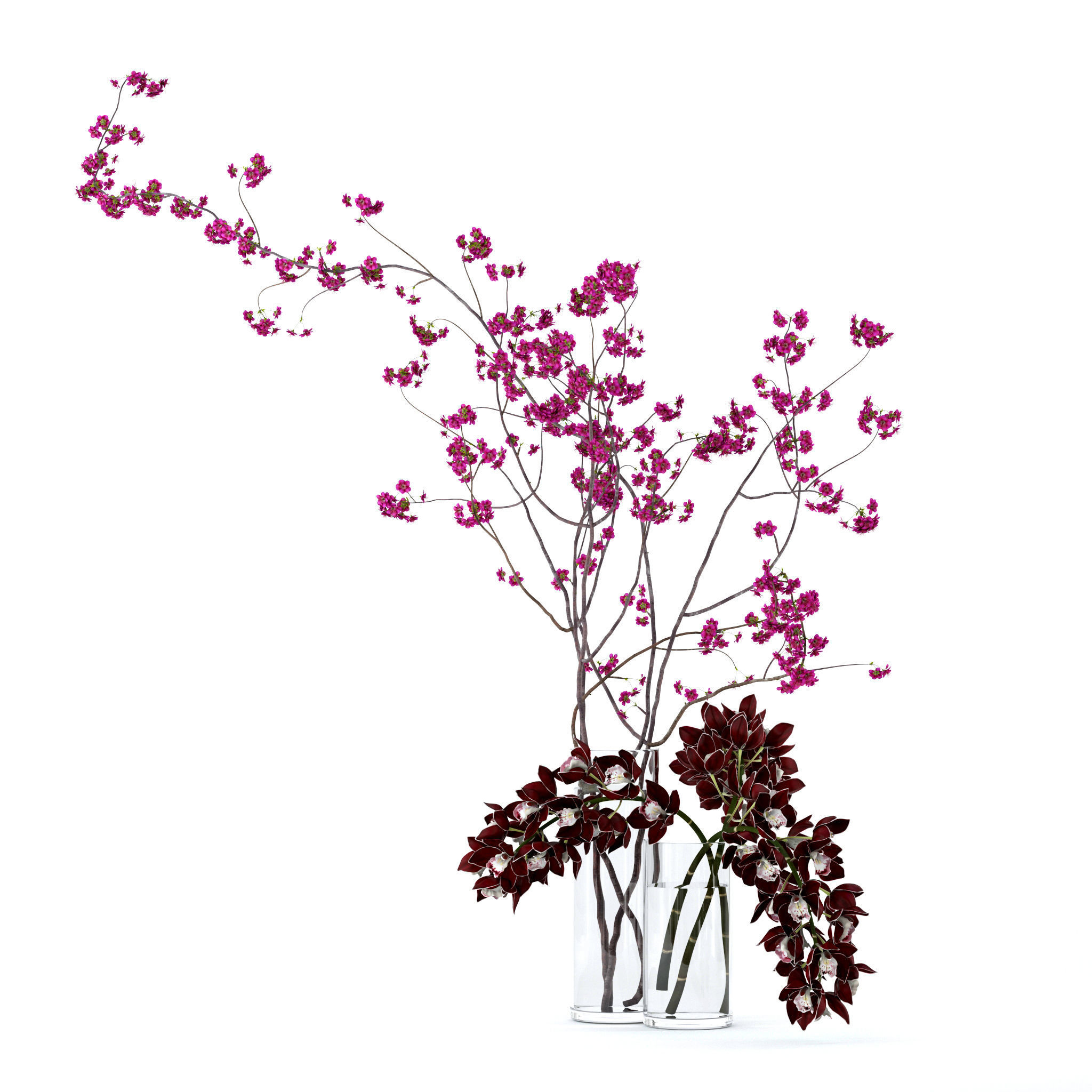 Cymbidium orchid and cherry branches 3D model_3