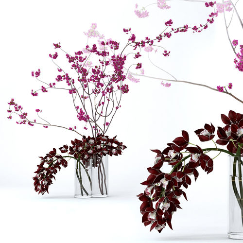 Cymbidium orchid and cherry branches 3D model