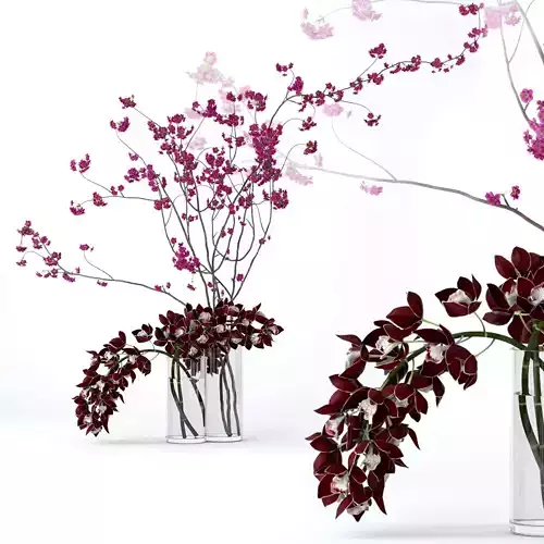 Cymbidium orchid and cherry branches 3D model