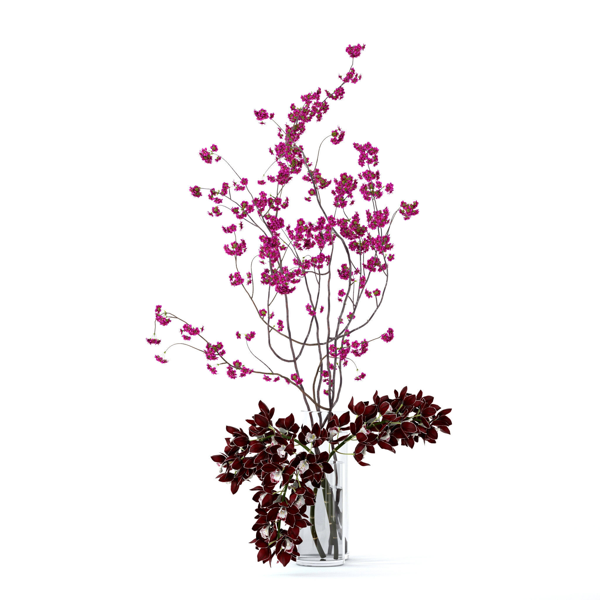 Cymbidium orchid and cherry branches 3D model_2