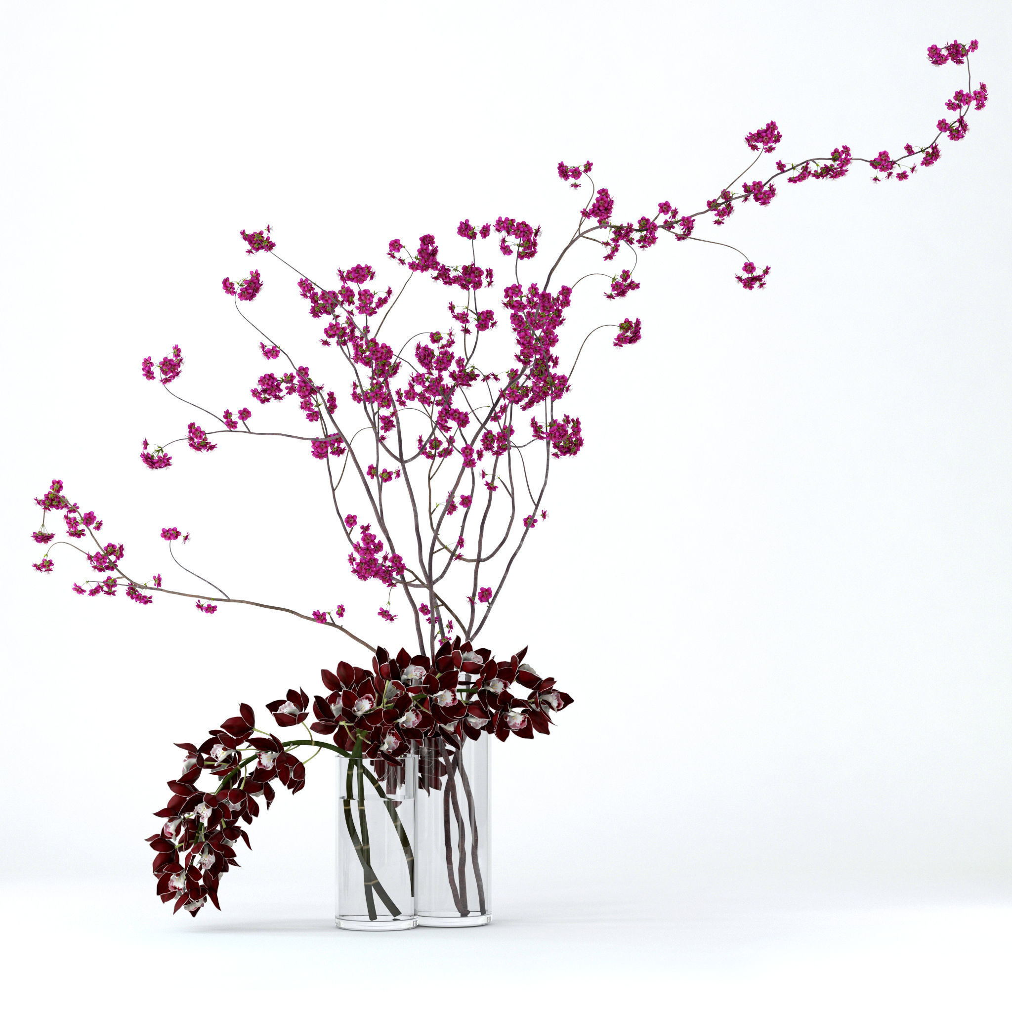 Cymbidium orchid and cherry branches 3D model_1