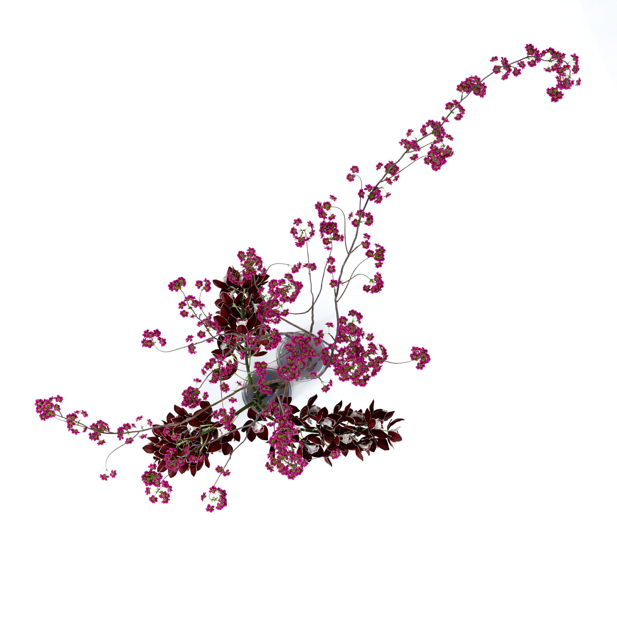 Cymbidium orchid and cherry branches 3D model_4