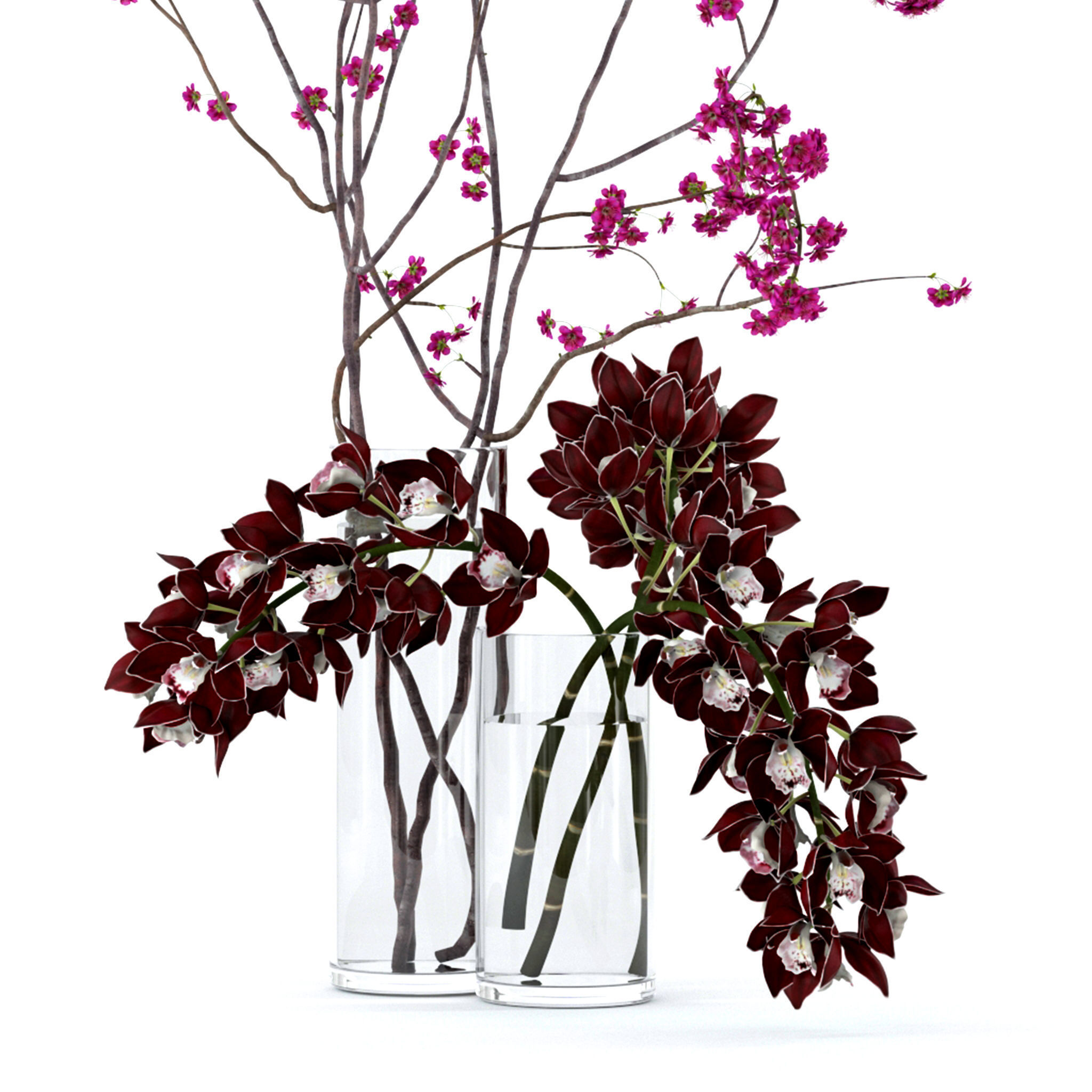 Cymbidium orchid and cherry branches 3D model_6