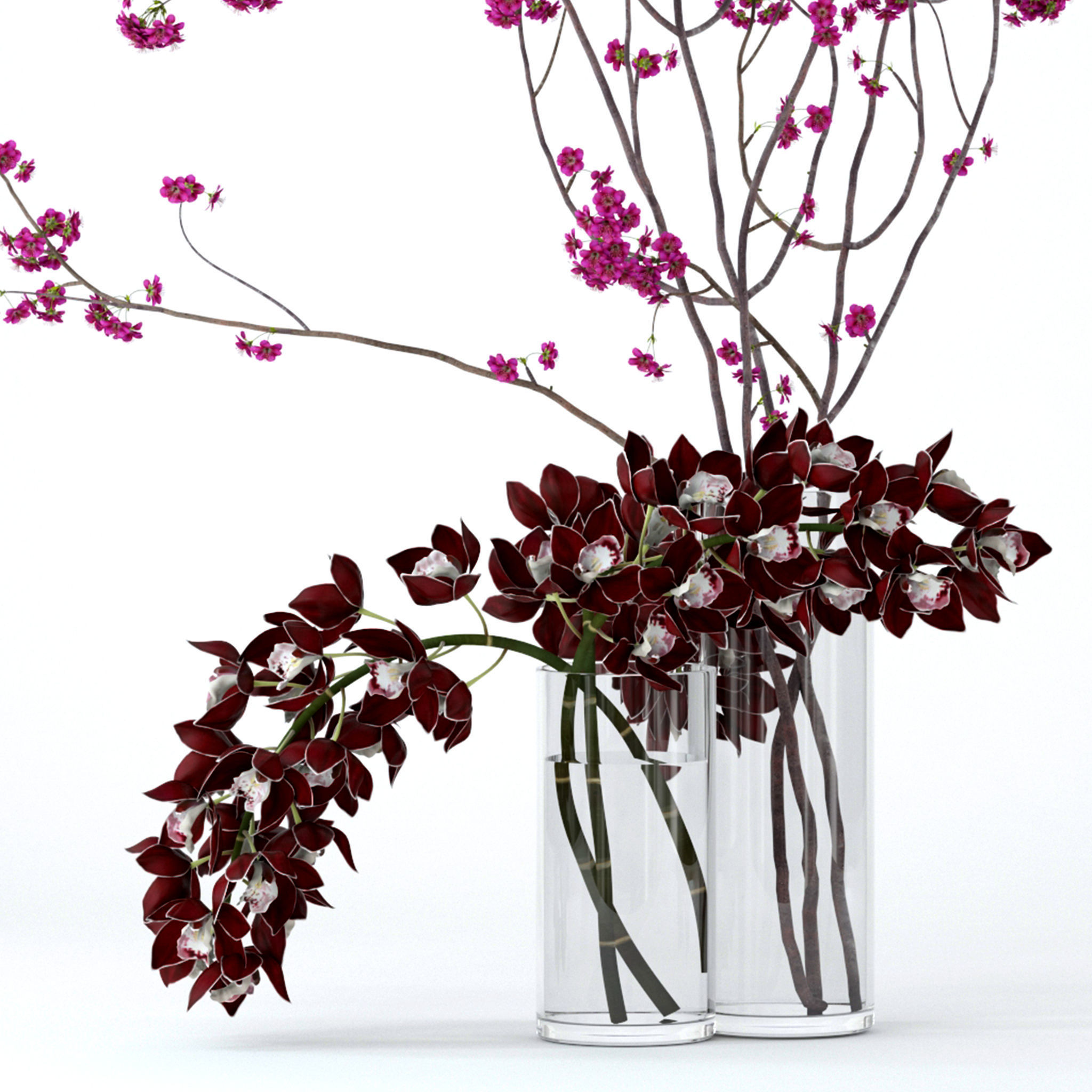 Cymbidium orchid and cherry branches 3D model_5