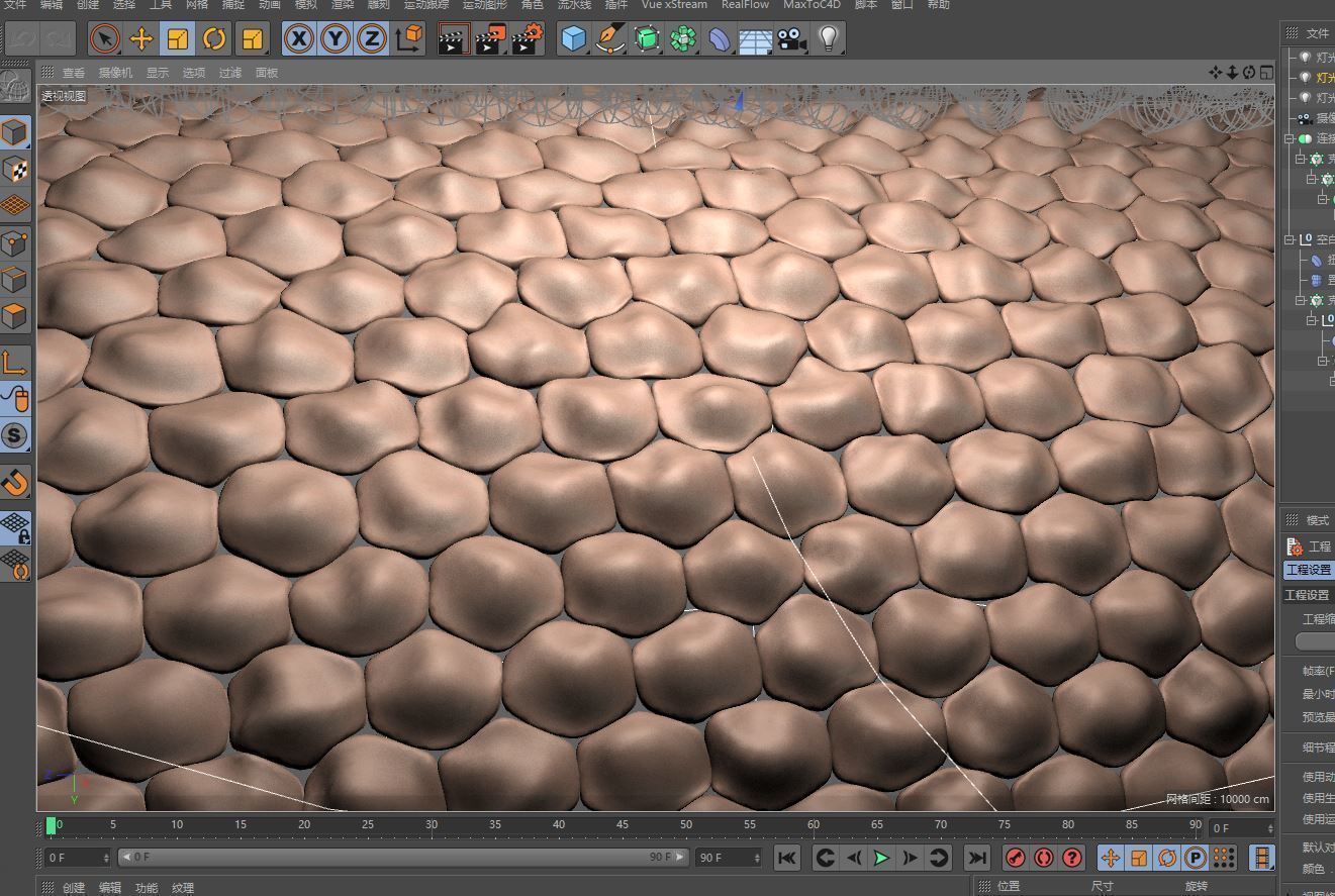 Human skin anatomy 3D model_1