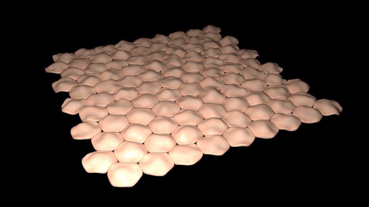 Human skin anatomy 3D model_2