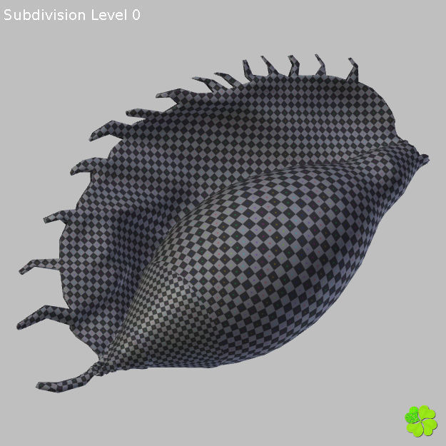 Realistic shells low poly shell Low-poly 3D model_37
