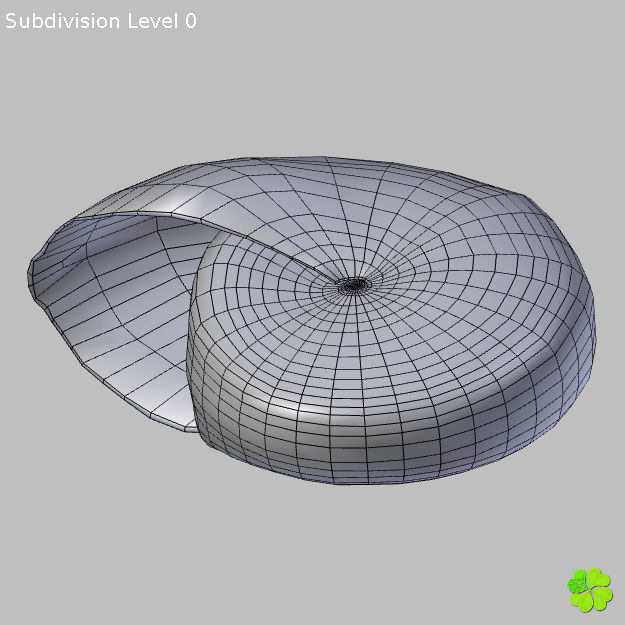 Realistic shells low poly shell Low-poly 3D model_31