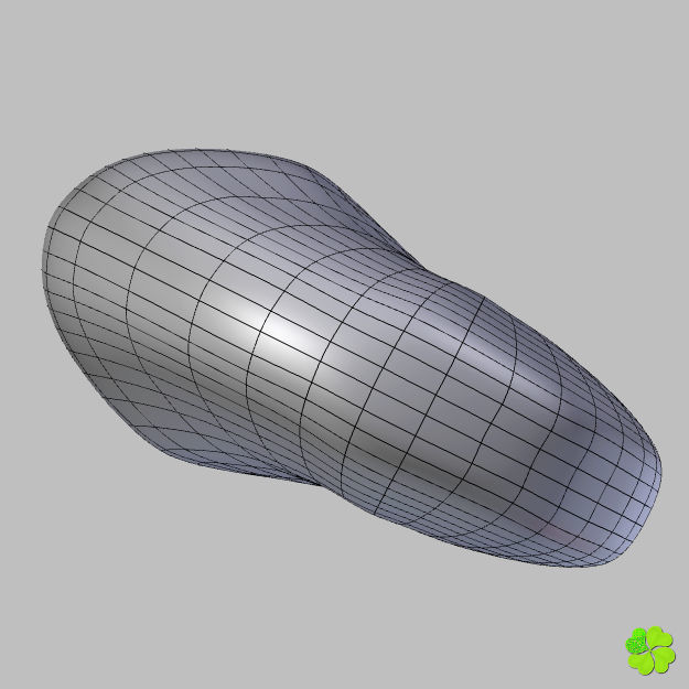 Realistic shells low poly shell Low-poly 3D model_24