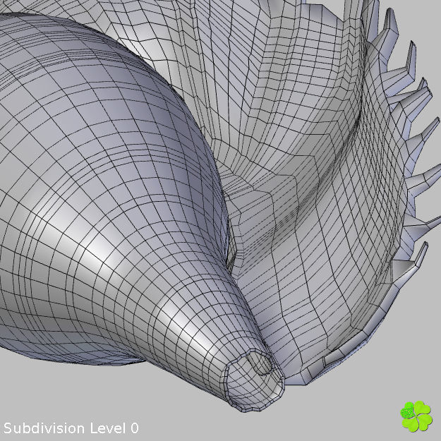 Realistic shells low poly shell Low-poly 3D model_29