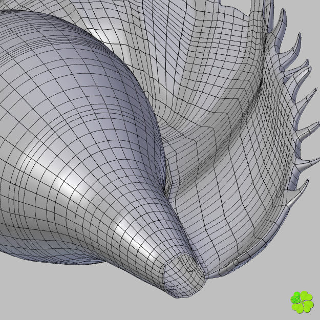 Realistic shells low poly shell Low-poly 3D model_28