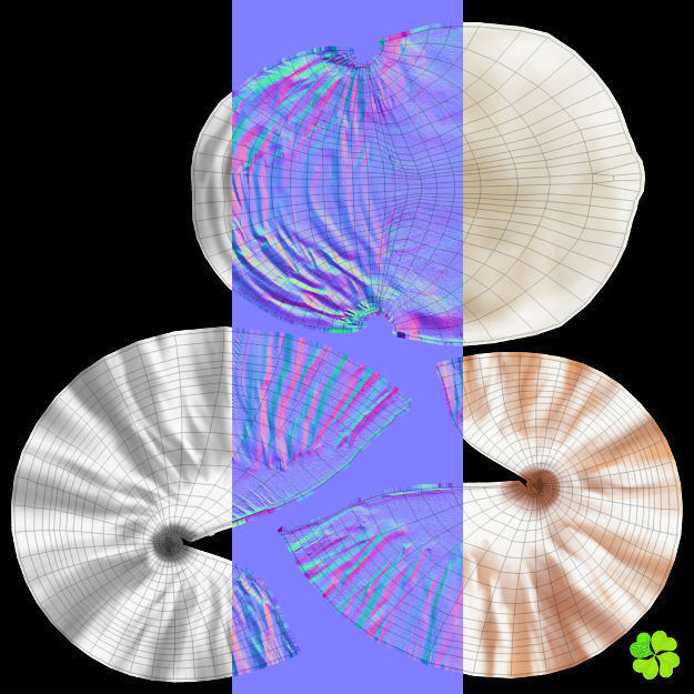 Realistic shells low poly shell Low-poly 3D model_41