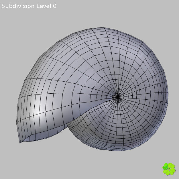 Realistic shells low poly shell Low-poly 3D model_23