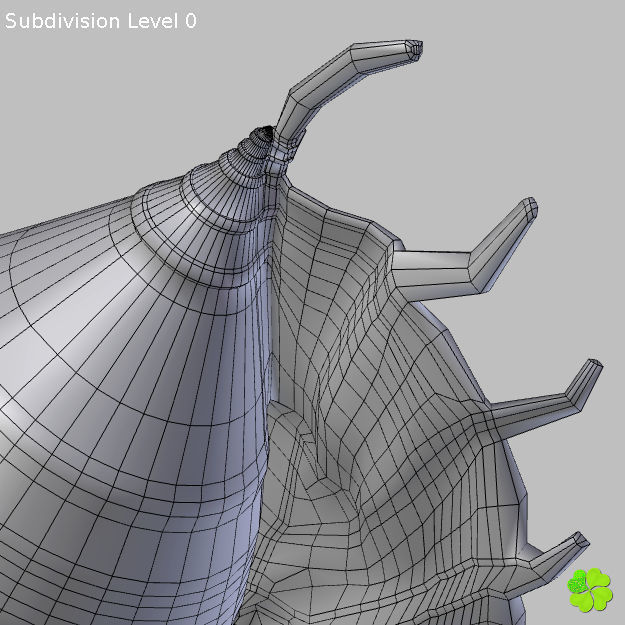 Realistic shells low poly shell Low-poly 3D model_27