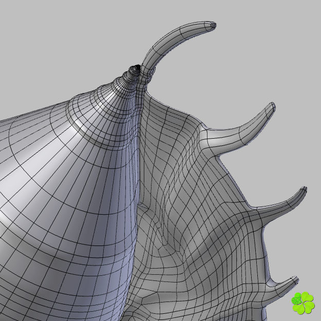 Realistic shells low poly shell Low-poly 3D model_26