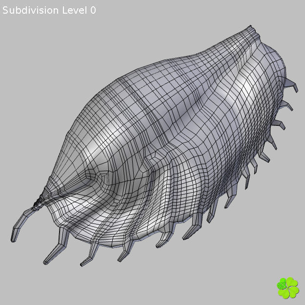 Realistic shells low poly shell Low-poly 3D model_21