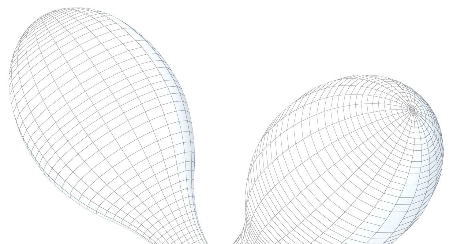 Wooden Maraca 3D model_9