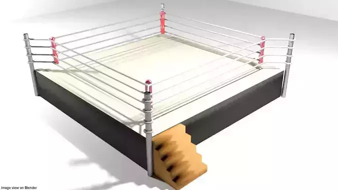 Ring Arena - 4 sided