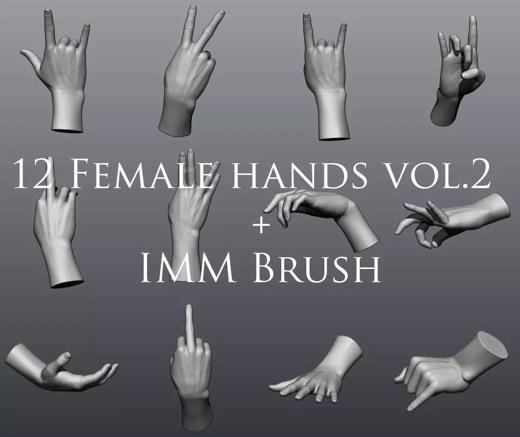 12 Female Hands vol2 3D model