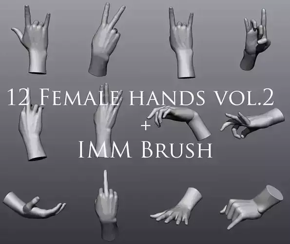 12 Female Hands vol2 3D model